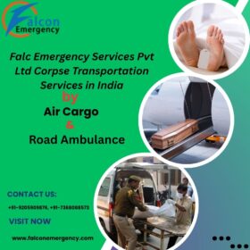 www.falconemergency.com-1