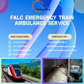 FALC-3