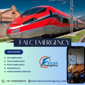 Falc-Emergency-45