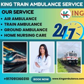 KING-TRAIN-AMBULANCE-SERVICE-31
