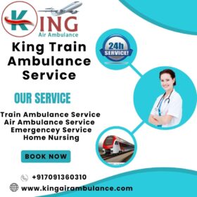 King-Train-Ambulance-Service-15