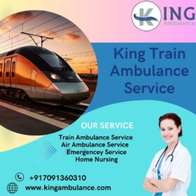 King-Train-Ambulance-Service-29-1