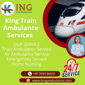 King-Train-Ambulance-Services-8