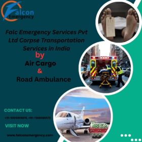 www.falconemergency.com_-1