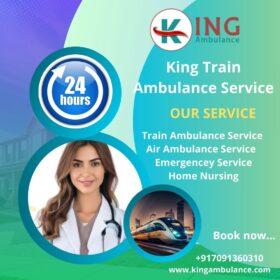 Avoid-making-any-mistakes-while-shifting-to-Delhi-in-King-Train-Ambulance-2