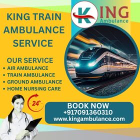 KING-TRAIN-3