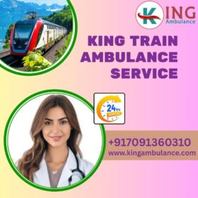 King-Train-Ambulance-Service-48