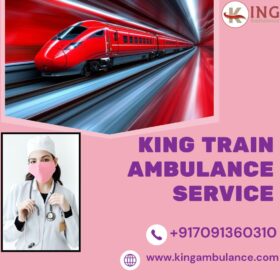King-Train-Ambulance-Service-52