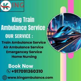 King-Train-Ambulance-Service-68