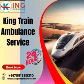 King-Train-Ambulance-Service-70