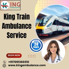 King-Train-Ambulance-Service-71