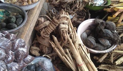 *** SANGOMA IN mthatha [+27*826*623*707]. TRADITIONAL HEALER In South Africa, Barklywest, Calvinia, De Aar, Groblershoop, Hartswastad, Heidelberg, Jan Kempdorp, Mier, Victoria-West, VanderKloof, Table view, Prince Albert, Parow, Paarl, Oudtshoorn, Malmesburg, Knysna, George, Ceres, mthatha, South africa
