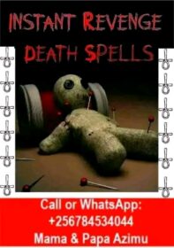 1731303597264-2