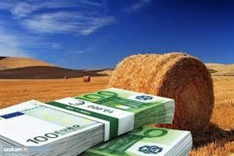 Do you need a cash? Do you need financial help