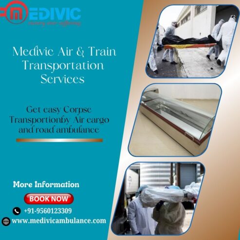 Medivic Mortuary Box in Bangalore is responsible for transporting the bodies to the chosen destination