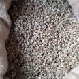 #+27719755564 coffee beans Robusta & Arabica ready for export