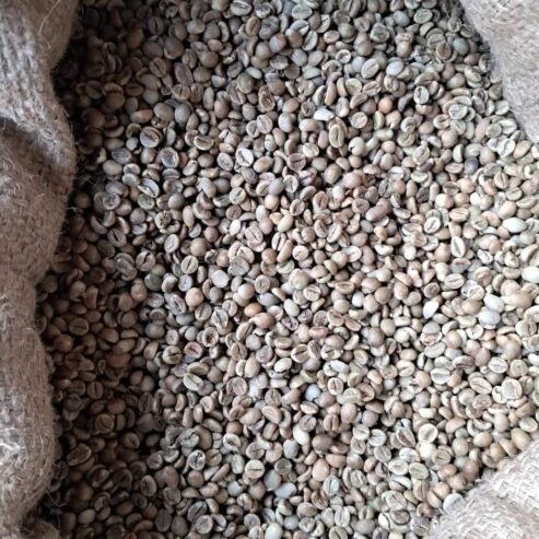#+27719755564 coffee beans Robusta & Arabica ready for export
