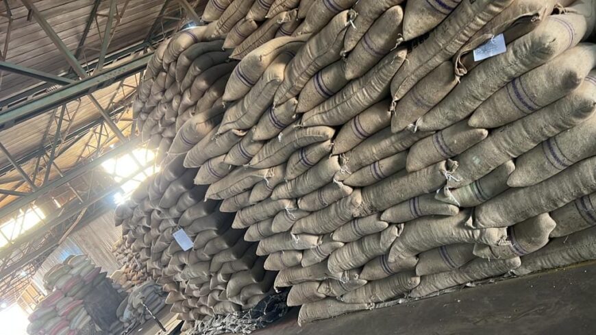 top-quality Ugandan robusta and Arabica coffee beans? Contact +27719755564