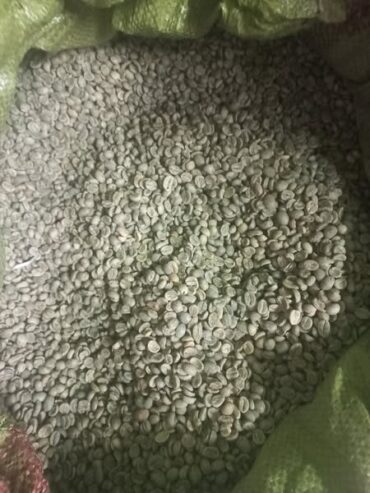 top-quality Ugandan robusta and Arabica coffee beans? Contact +27719755564