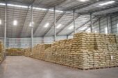 #+27719755564 coffee beans Robusta & Arabica ready for export