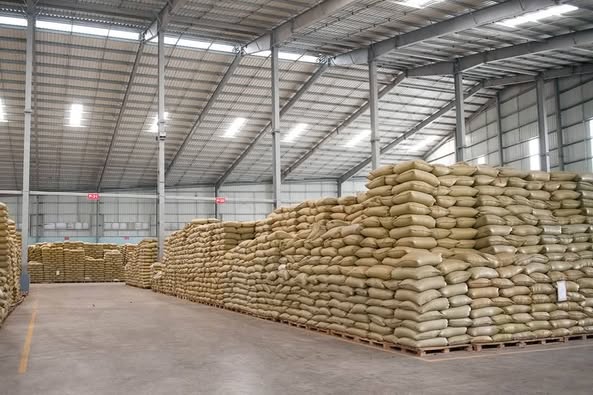#+27719755564 coffee beans Robusta & Arabica ready for export