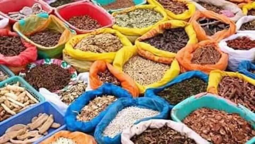 Traditional Healer in polokwane✯✯((+27818744558))✯✯Sangoma-Bring back lost lover IN Kimberley , Kirkwood , Klerksdorp , Knysna , Kokstad , Komga ,Kroonstad ,Kuruman , Lady frère , ladybrand ,Lebowakomo ,Lichtenburg , Louis trichardt , Malmesbury , Mankweng , Matatiele , Melmoth,Middleburg , Midrand ,Mitchells plain , Mosselbay.