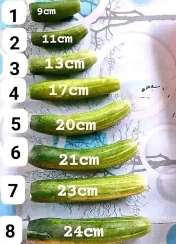 BIG STICK PENIS ENLARGEMENT CREAM IN KAMPALA UGANDA+27 71 009 6483