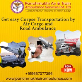 919667077396-www.panchmukhiairambulance.com-1
