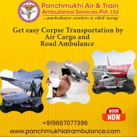 919667077396-www.panchmukhiairambulance.com_