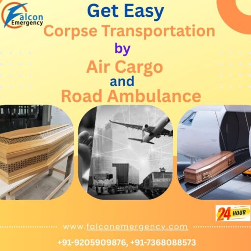 FALC Emergency Approach Every Request with Patience in Chennai by Air Cargo