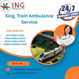King-Train-Ambulance-Service-13
