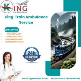 King-Train-Ambulance-Service-21