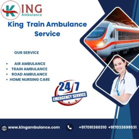 King-Train-Ambulance-Service-23