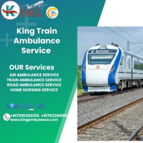King-Train-Ambulance-Service-6