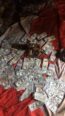 ™✓+2347073050297 #I want to join occult for money ritual in Nassarawa Benue Abuja Mina Kaduna