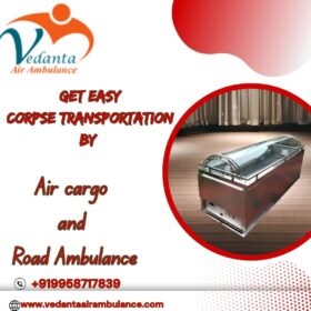Get-Easy-Corpse-Transportation-By-12