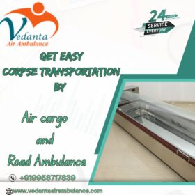 Get-Easy-Corpse-Transportation-By-13