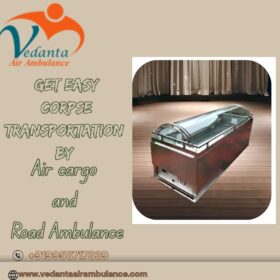 Get-Easy-Corpse-Transportation-By-14