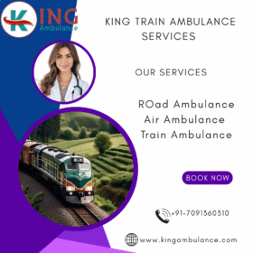 KING-TRAIN-AMBULANCE-SERVICES-12-1