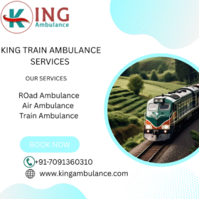 KING-TRAIN-AMBULANCE-SERVICES-17