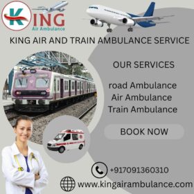 KING-AIR-AND-TRAIN-AMBULANCE-SERVICE