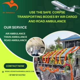 Our-Service-1-1