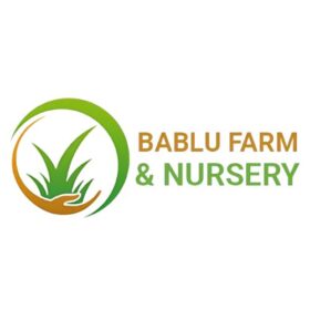 bablu-farm-nursery-logo