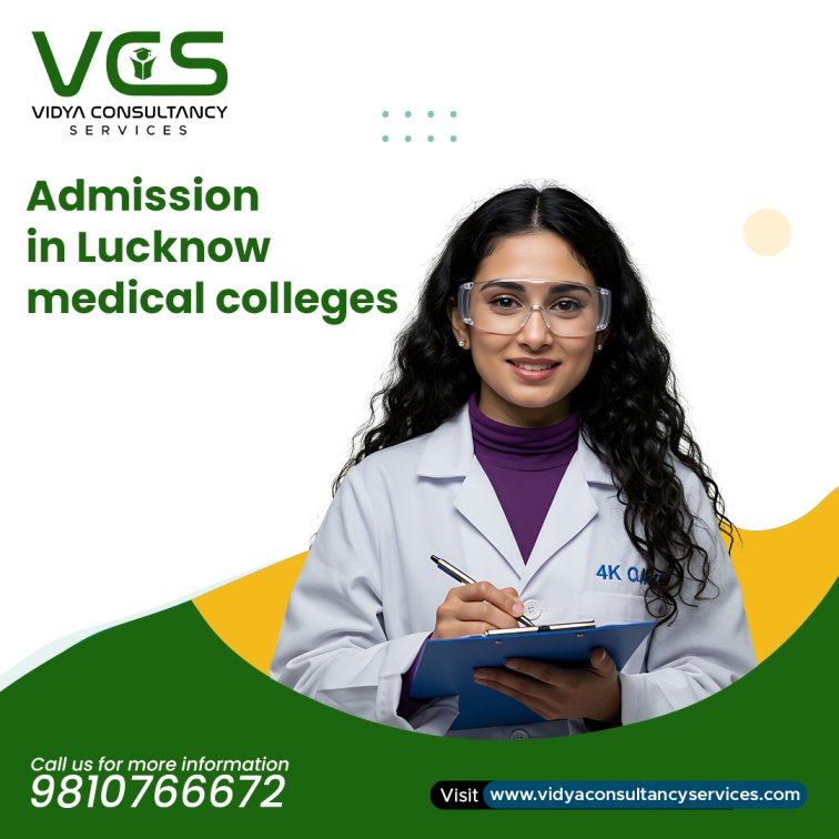 Vidya Consultancy Services