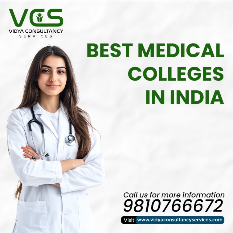 Vidya Consultancy Services