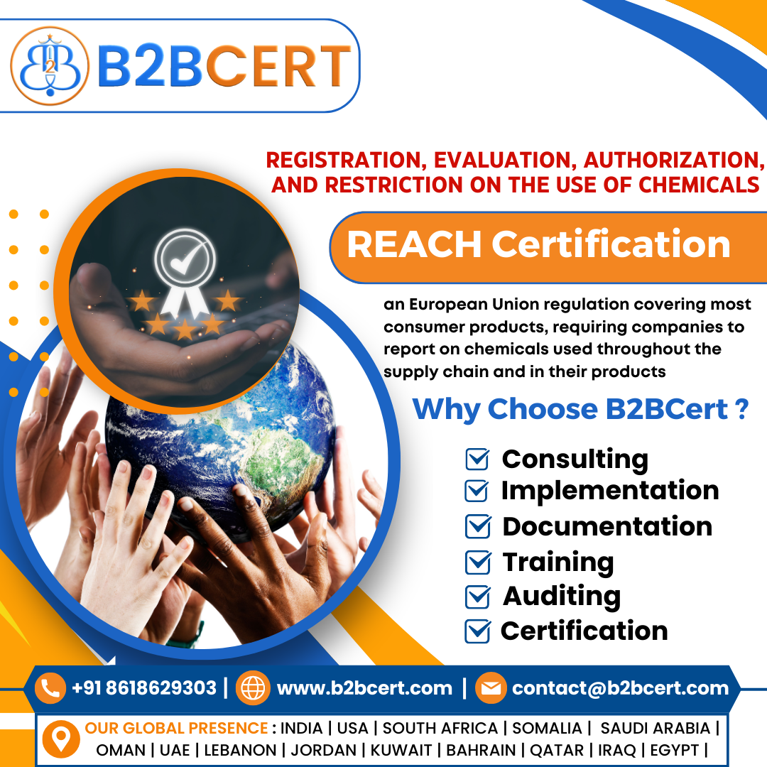 REACH Certification Services in San Francisco