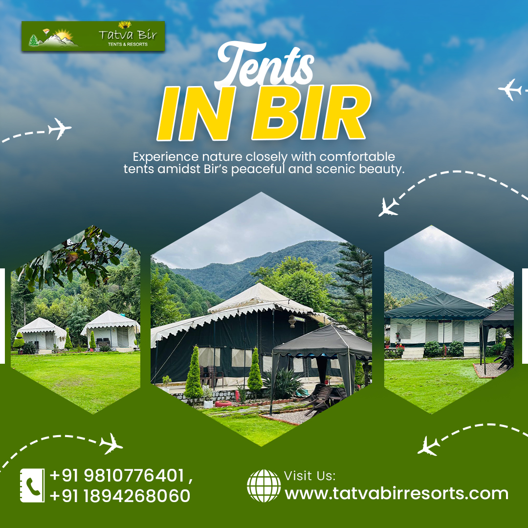 Tents in Bir for Comfortable Camping Experiences
