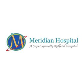Meridian-vns-1
