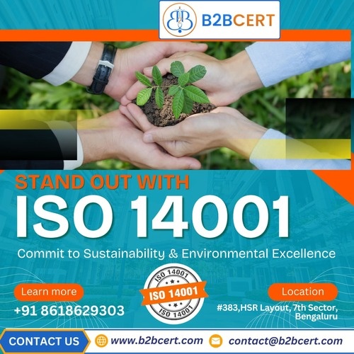 ISO 14001 Services