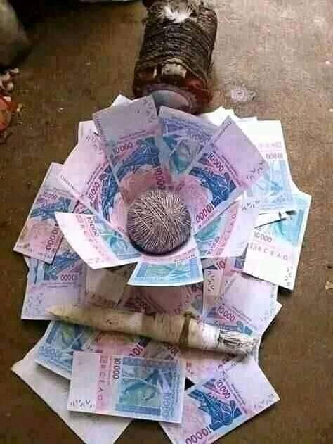 +2348129077737 ☎️📞